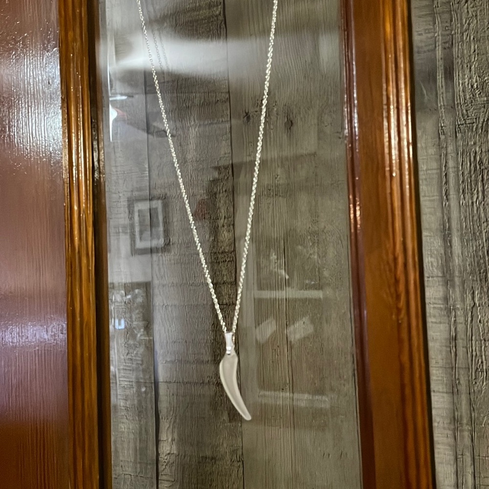 Montana Yellowstone River Glass Necklace
